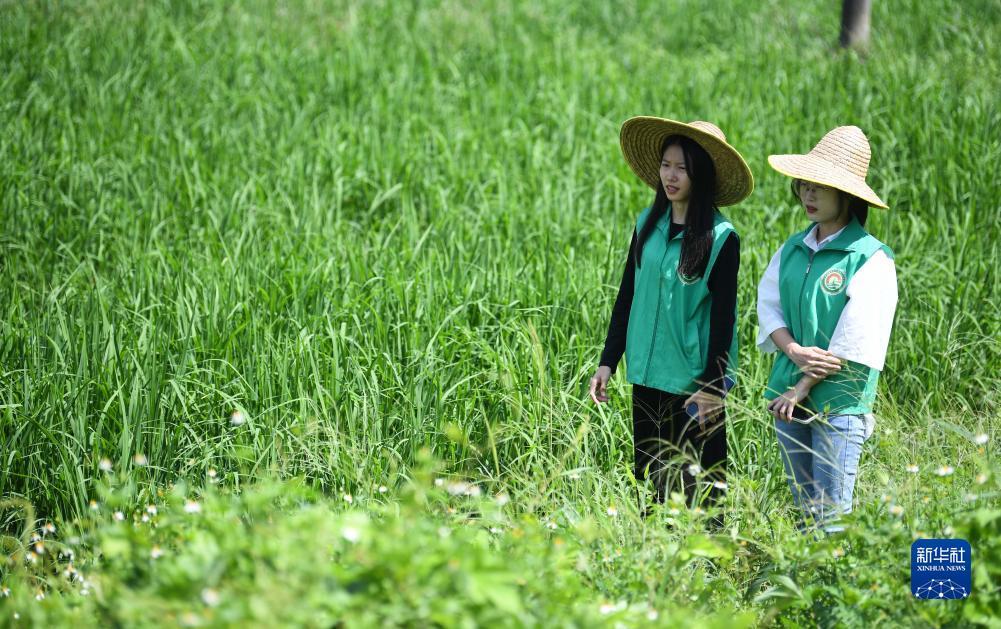 集结号官网登录